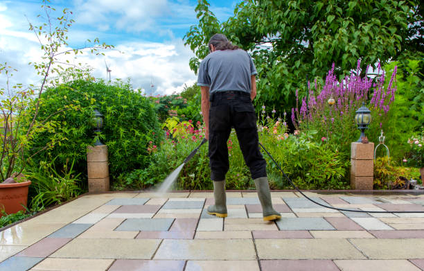 Best Driveway Pressure Washing  in Elk Mound, WI