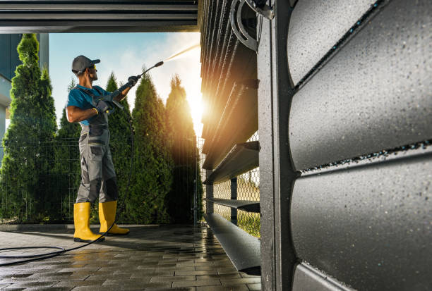 Best Solar Panel Cleaning  in Elk Mound, WI